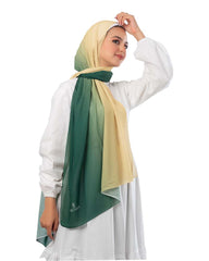 Gradient Chiffon Scarf