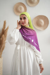 Gradient Chiffon Scarf