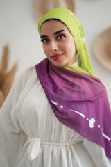 Gradient Chiffon Scarf