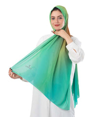 Gradient Chiffon Scarf