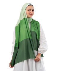 Gradient Chiffon Scarf