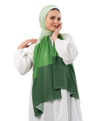 Gradient Chiffon Scarf